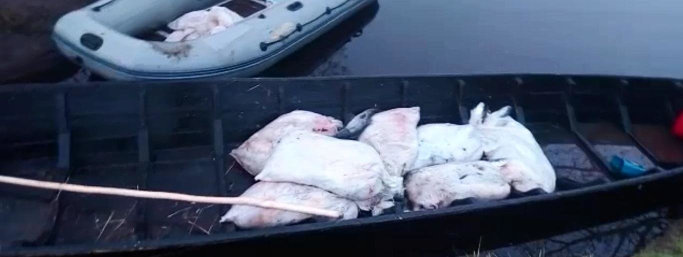 В Усть-Большерецком районе Камчатки за выходные изъяли почти полтон... В Усть-Большерецком районе Камчатки за выходные изъяли почти полтонны браконьерски добытых чавычи и нерки